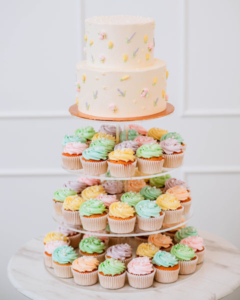 2 Tier Summer Cake and Cupcakes
