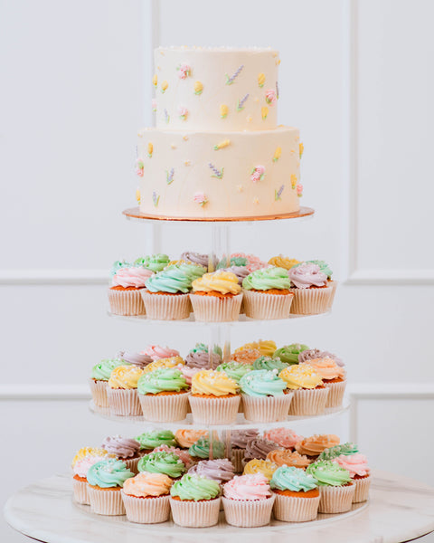 2 Tier Summer Cake and Cupcakes