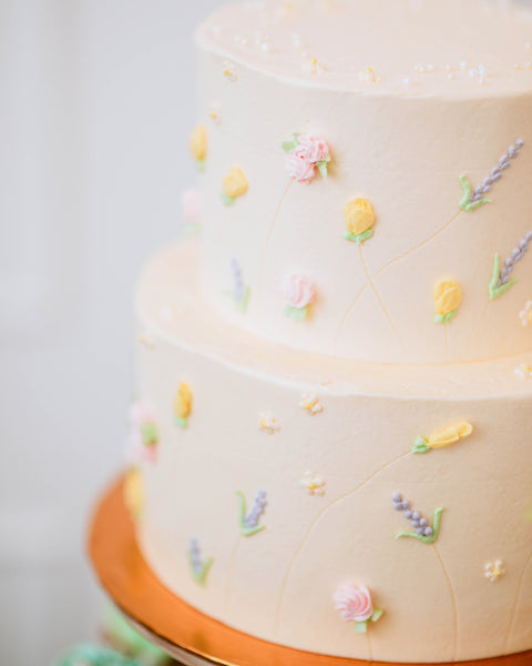 2 Tier Summer Cake and Cupcakes