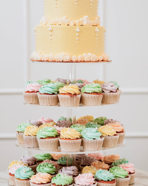 2 Tier Belle Cake and Cupcakes