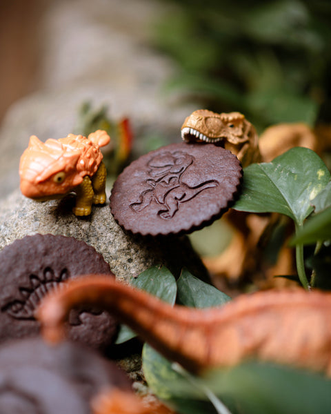 Chocolate Hungry Dinosaur Cookies