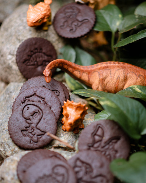 Chocolate Hungry Dinosaur Cookies