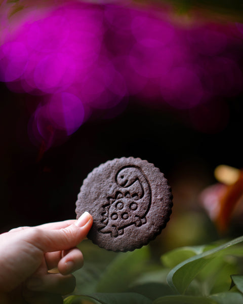 Chocolate Hungry Dinosaur Cookies