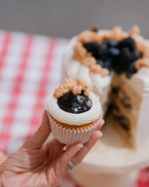 1 DAY PRE-ORDER  Blueberry Cheesecake