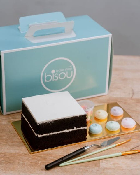 3 DAY PRE-ORDER DIY Cake Painting Kit