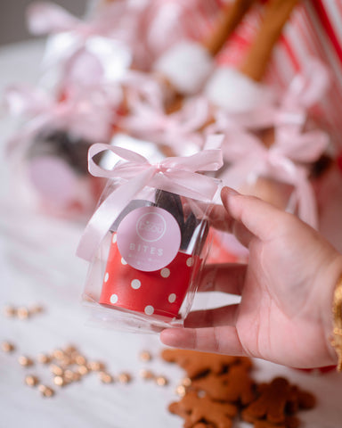 Bisou Bites - Sea Salt Chocolate